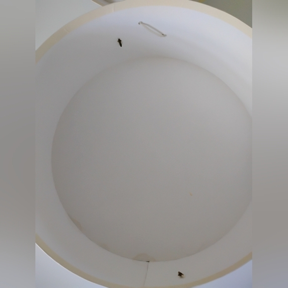 Neiman Marcus Vintage Hat Box 1940s 1950s Movie Prop - Picture 12 of 14